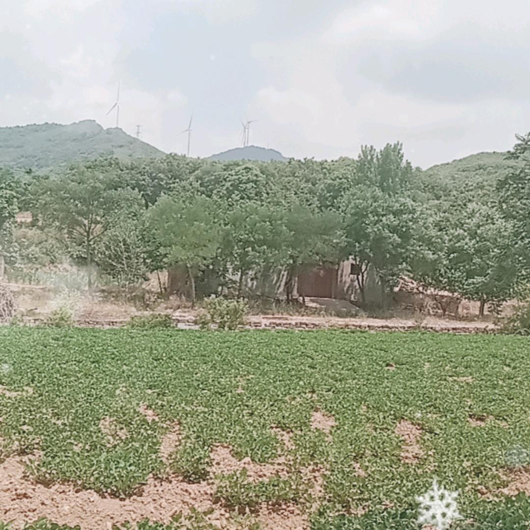青山绿水