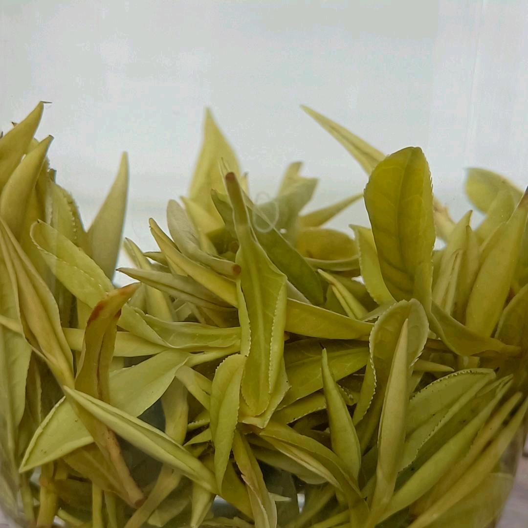 开心❤️❤️❤️❤️❤️