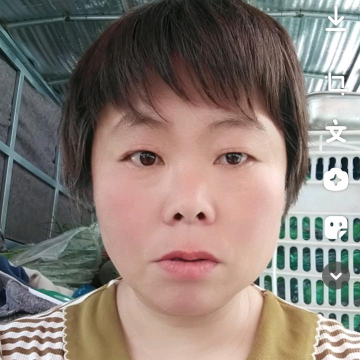 山东田姐(首播中午1.20)