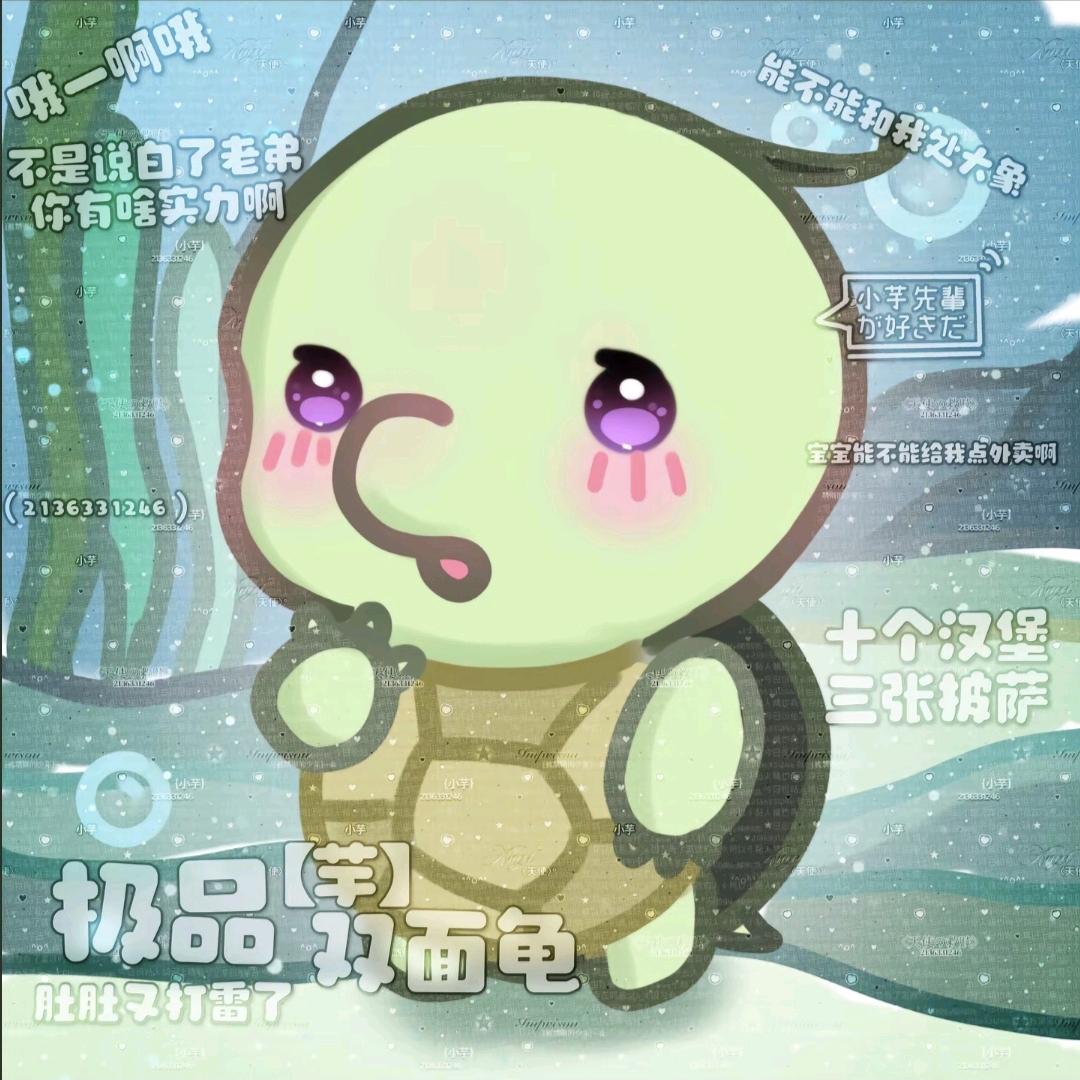 是龟龟吖