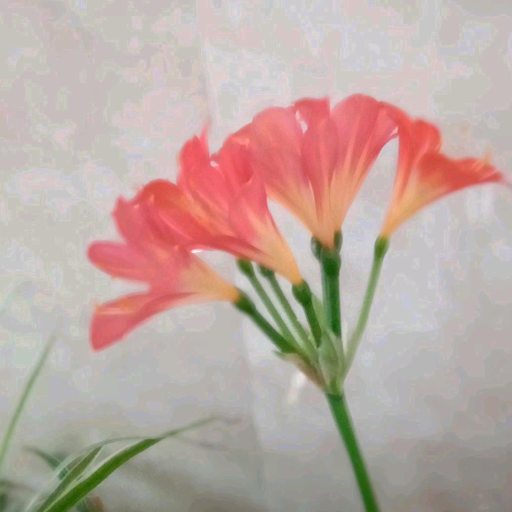 幸福家庭有你