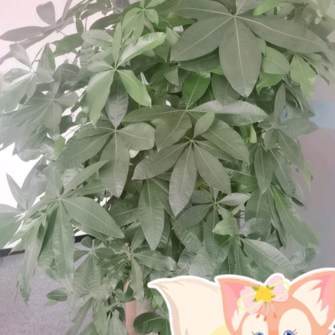 快乐一生