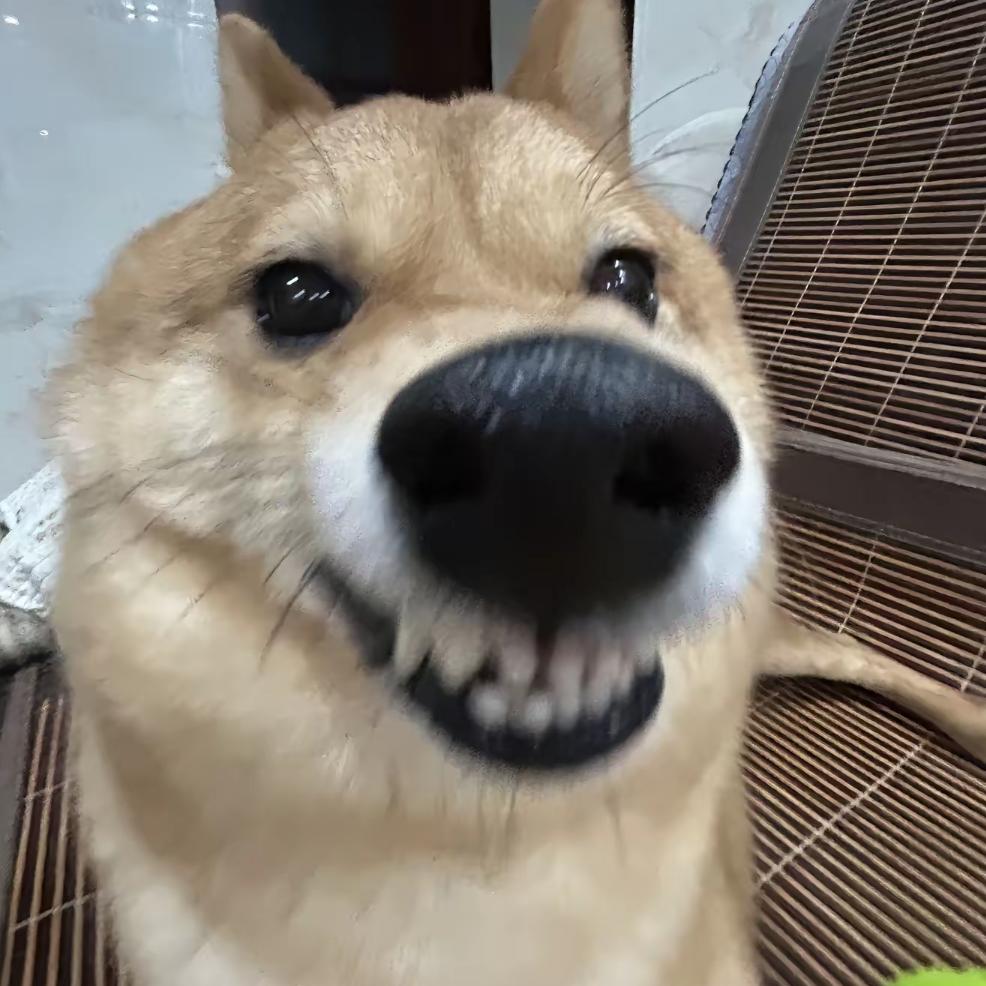 啊嘛得