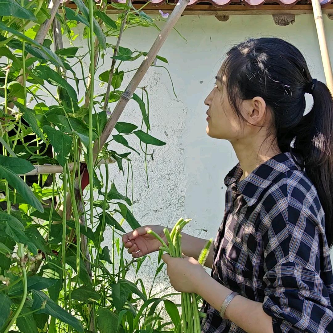 乡村生活佳佳
