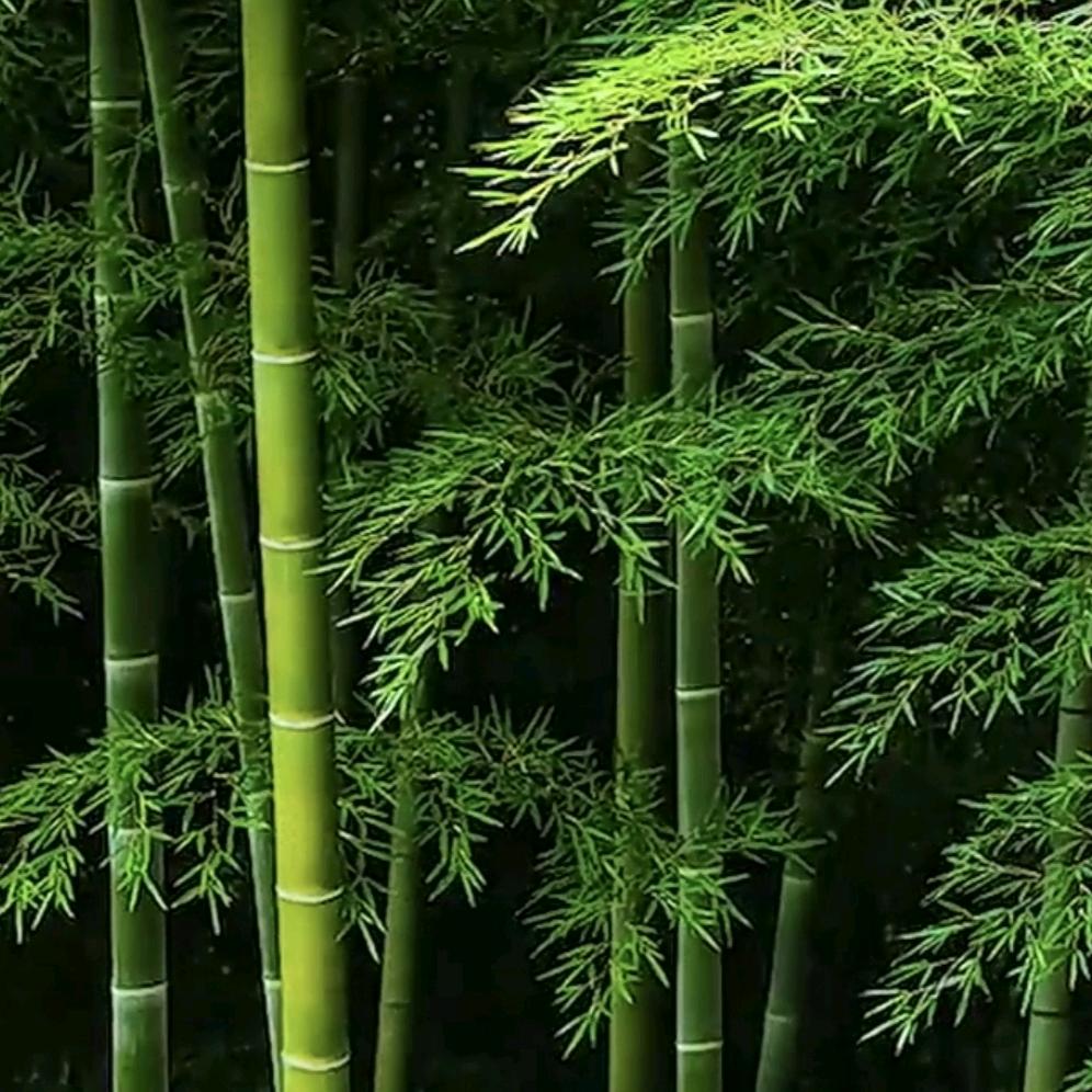 伊甸
