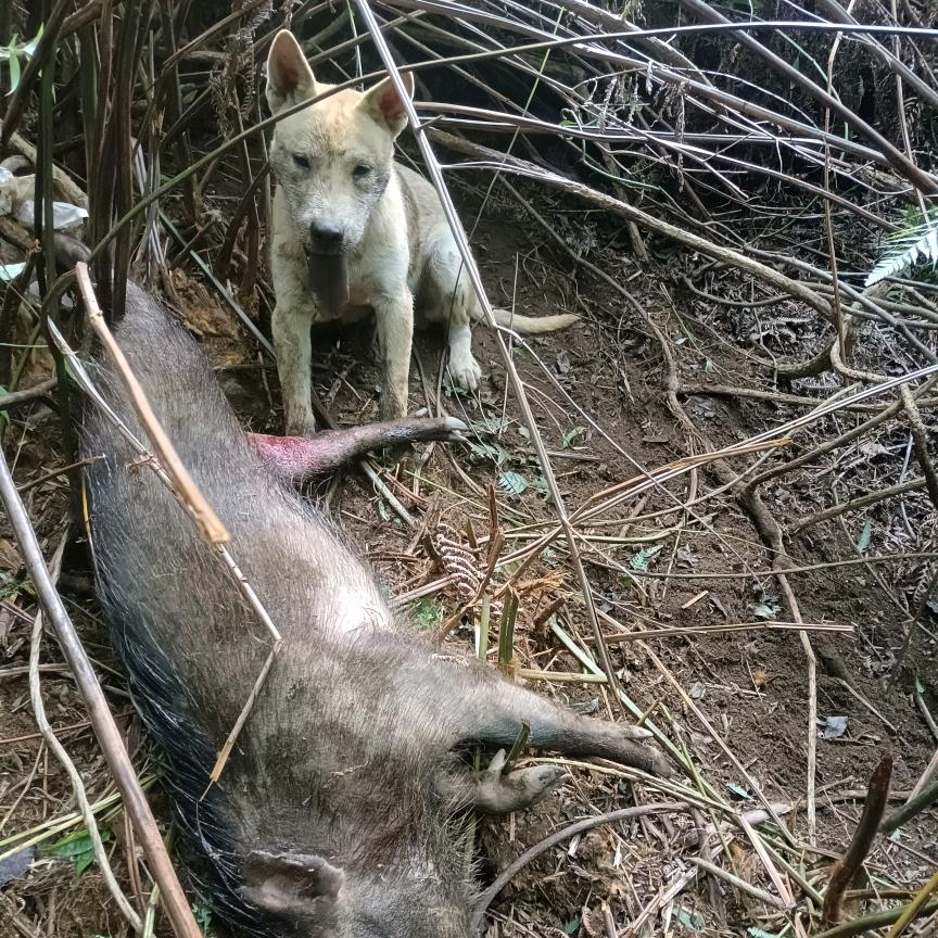 广西宾阳县新桥镇茂源旋切板厂