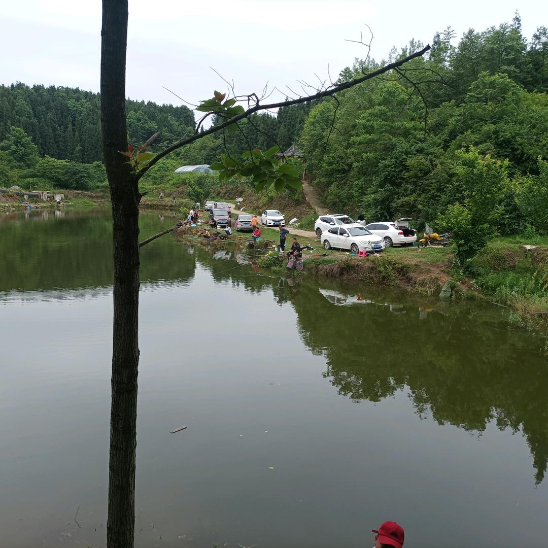 王庄六哥垂钓山庄