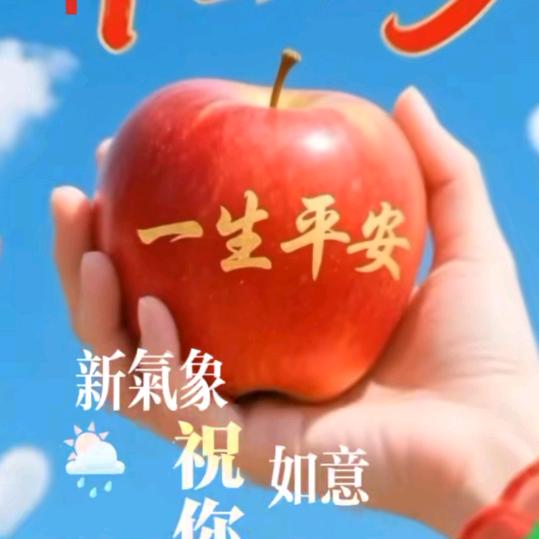 开心果💐💐💐💐