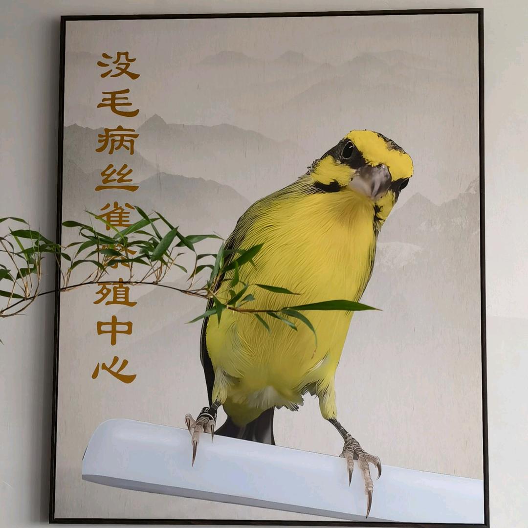 没毛病丝雀繁殖中心