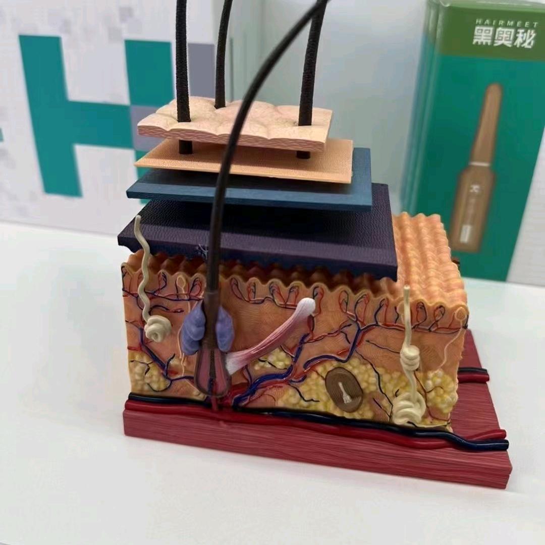 黑奥秘～年轻的秘密