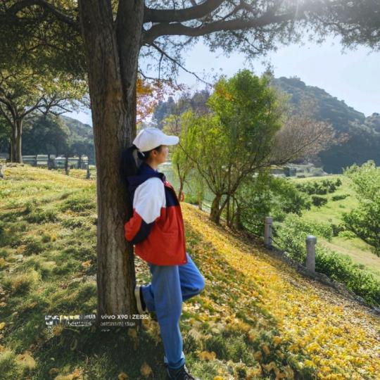 海燕呐（拒私聊）