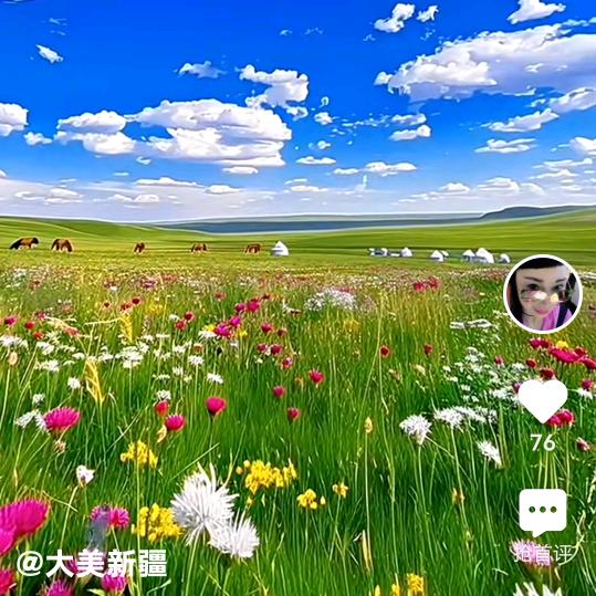 宋姐