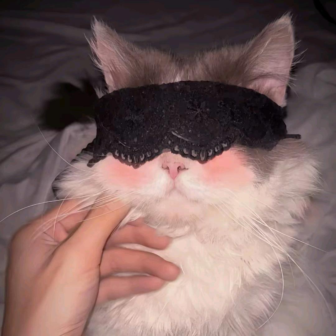 发现对象是男同的那晚给他调成4i