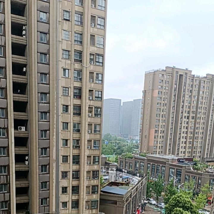 峰哥