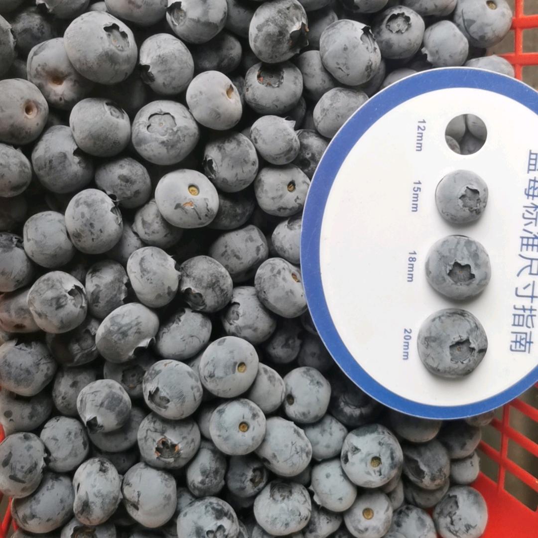 中斐广东农品臻选阁