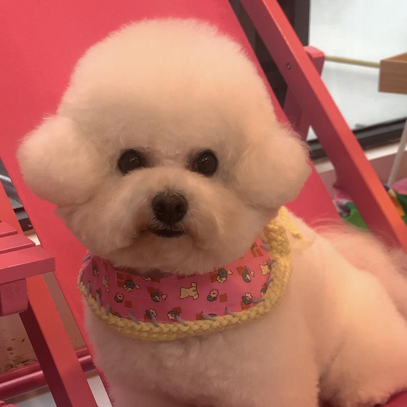 莲子小姐🍒🍒