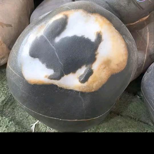 李哥爱收藏