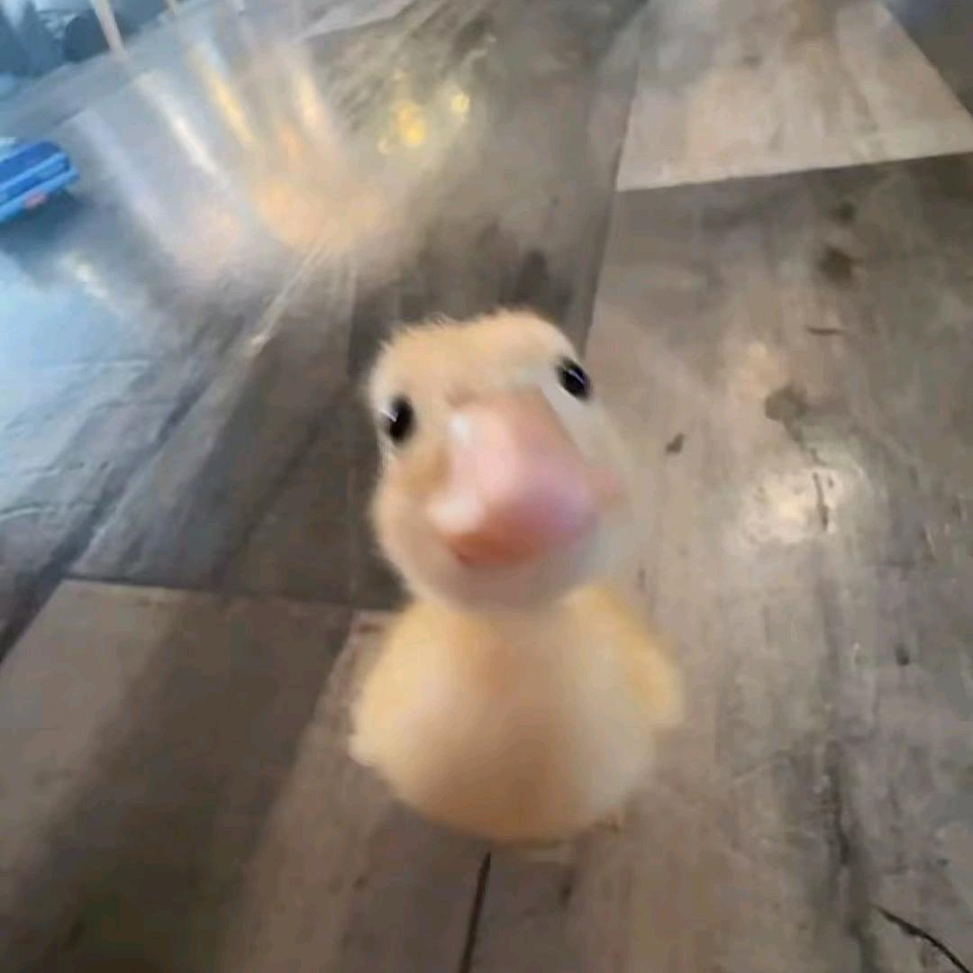 玉**