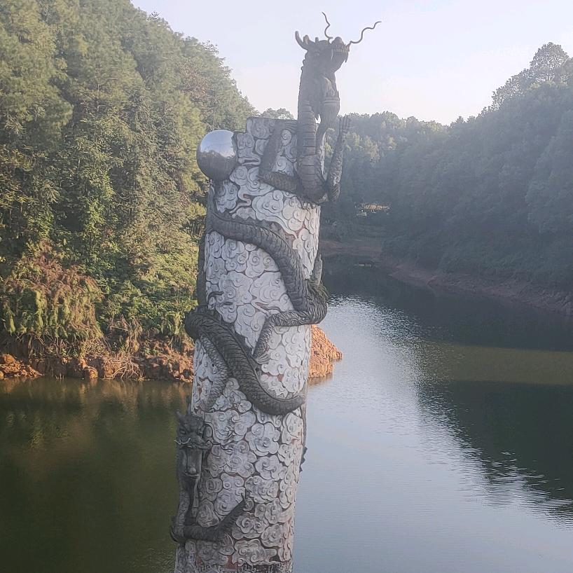 随风飘飘