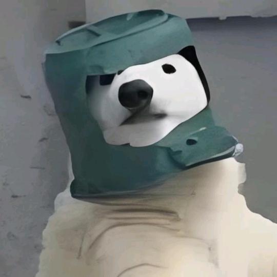 只是回忆加了分