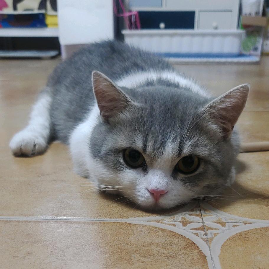 八零后宝妈💖