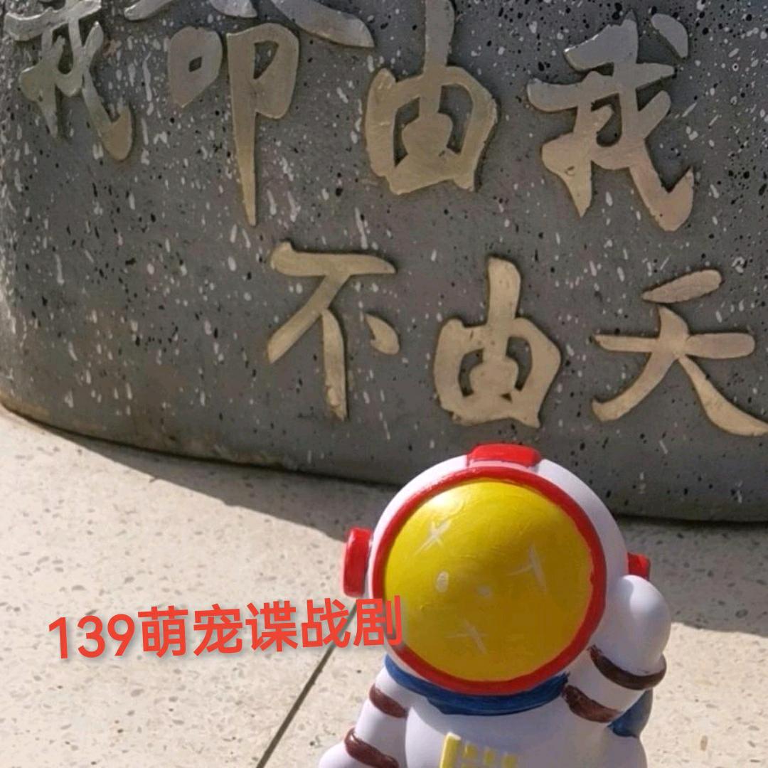 大英县才财商贸有限公司