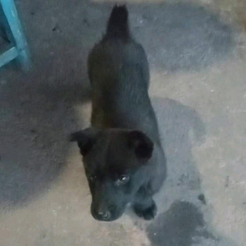 成功者