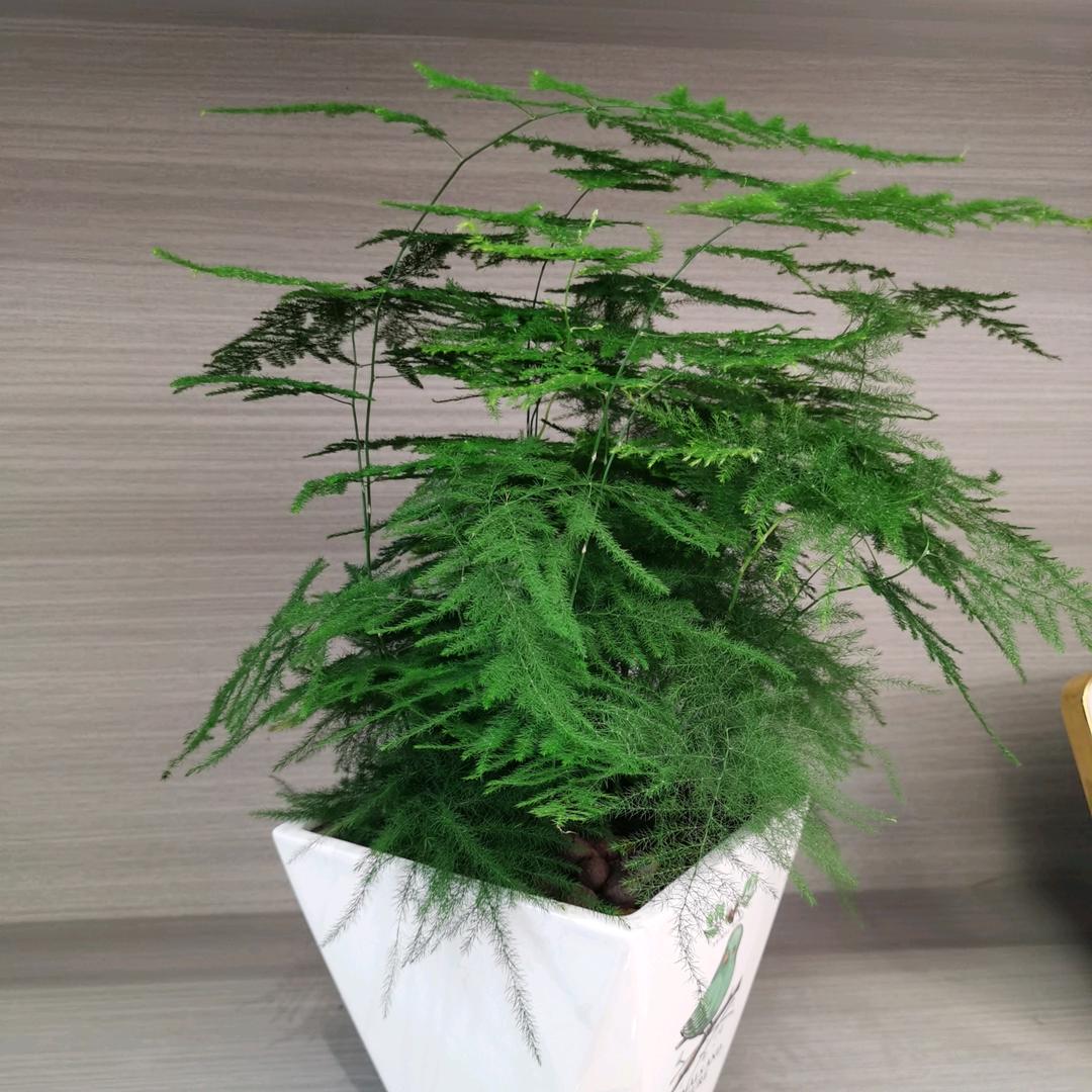 ……@是我吖……