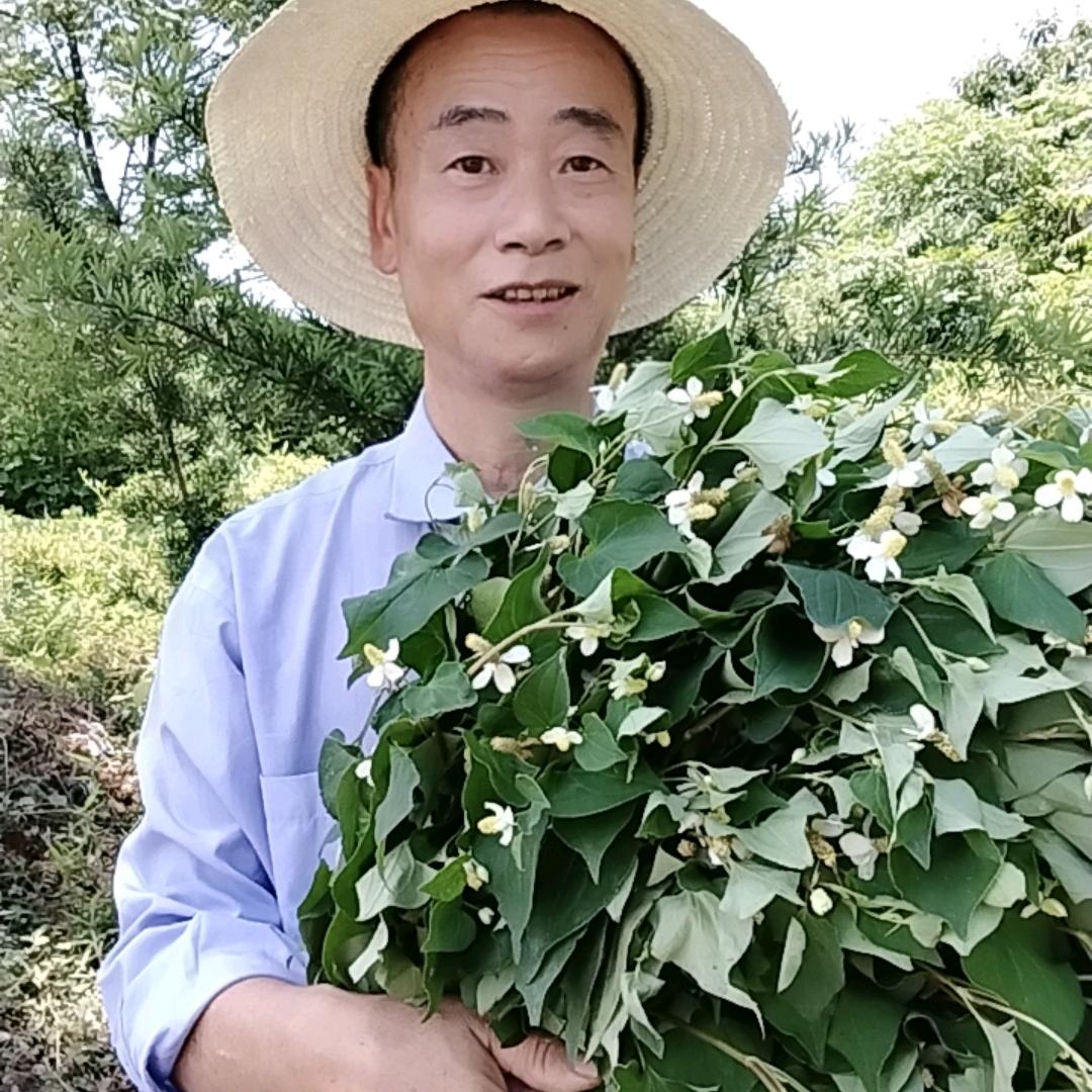 农民泉哥