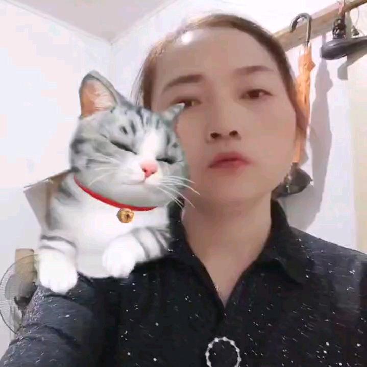 陈姐，20点O5分开播