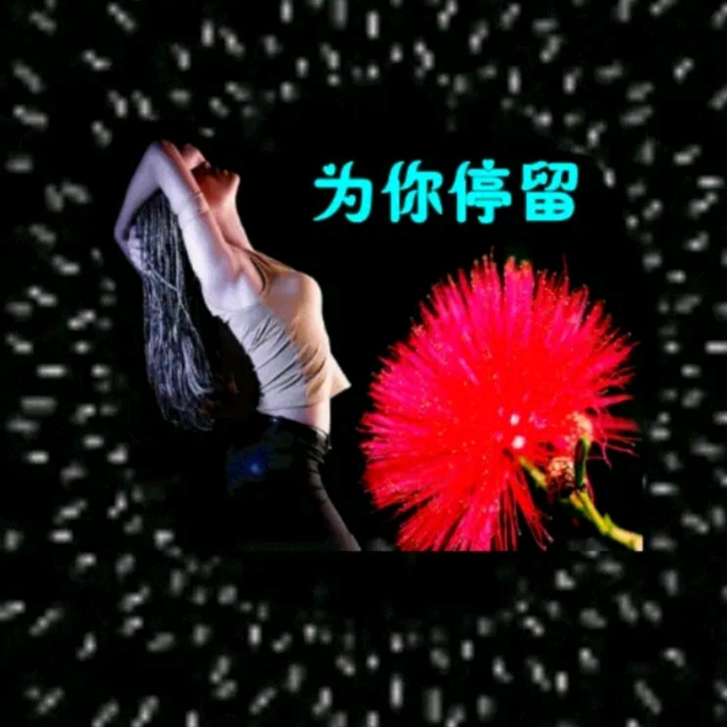 ℳ̶̶̶̶♡̶҉遗ᥫᩣ忘ℳ
