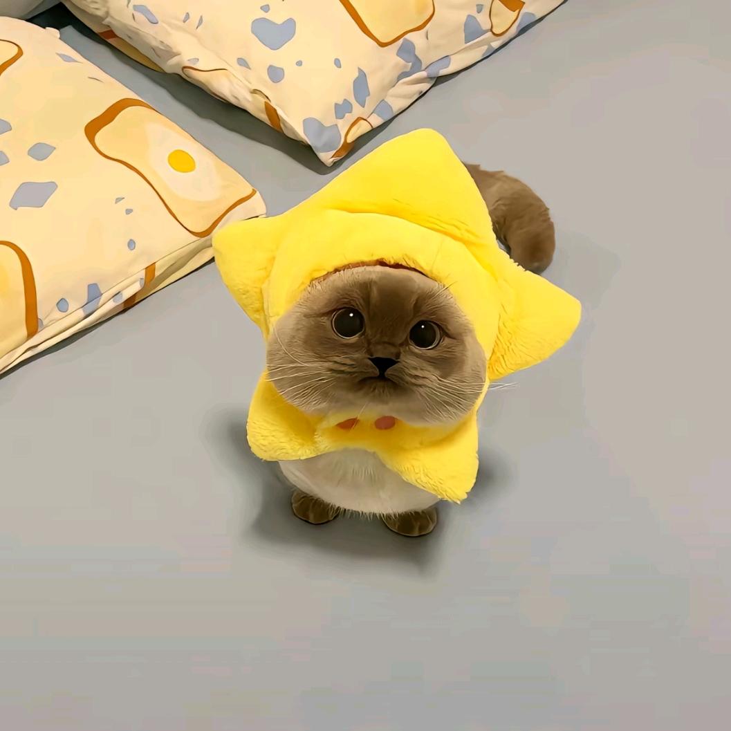 真顺心