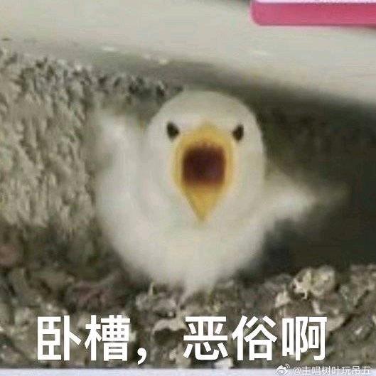 绝世蜗少