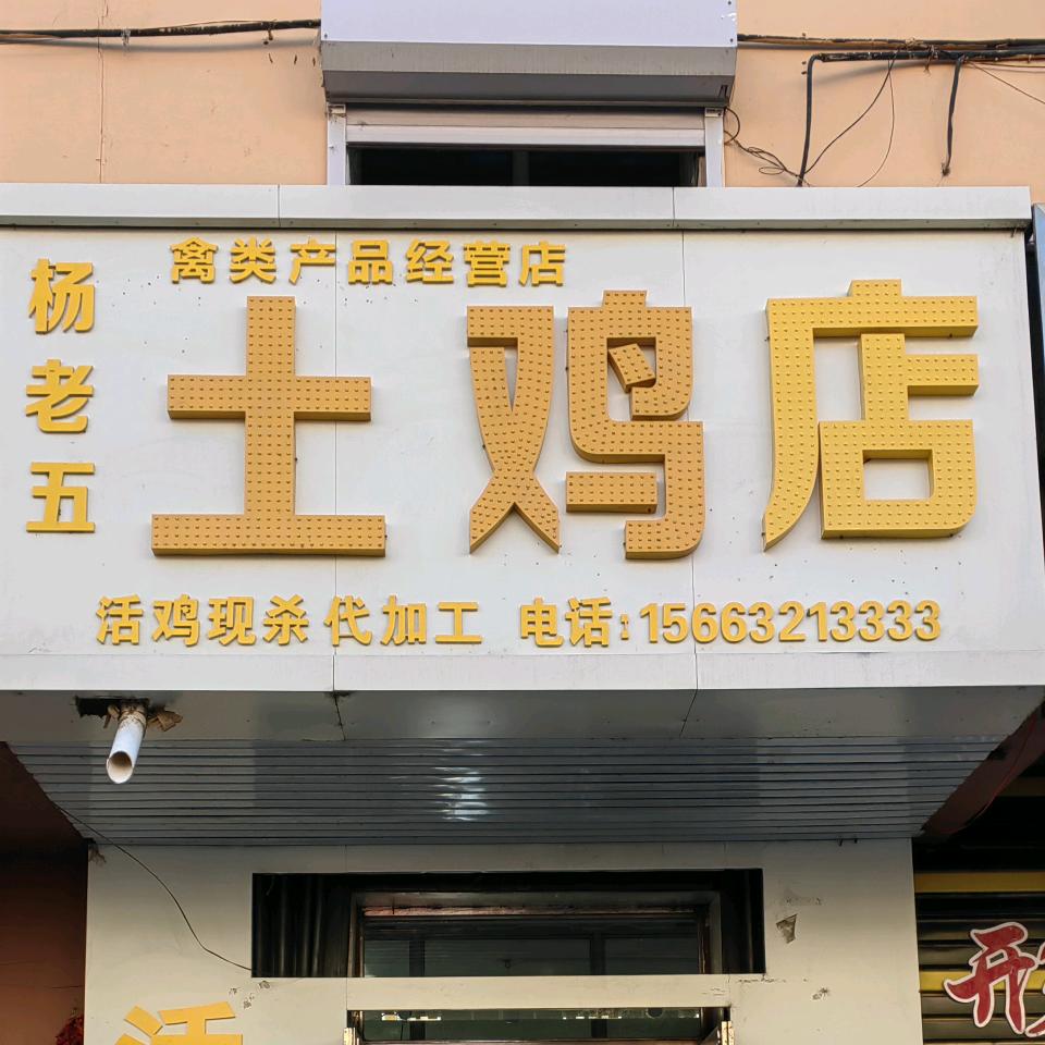 杨老五散养鸡