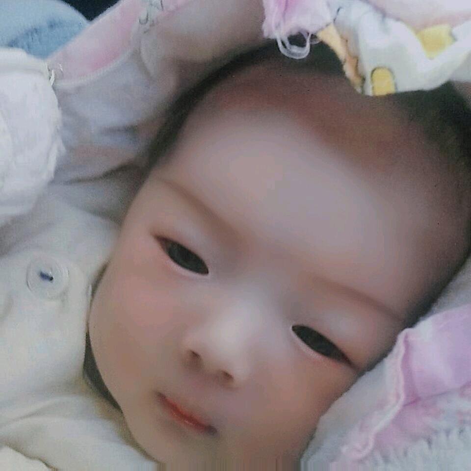东北虎