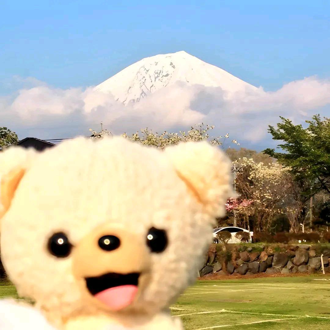 🍑布噜布噜～