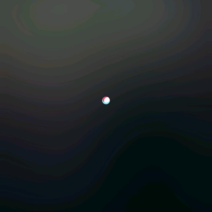 梦想成直