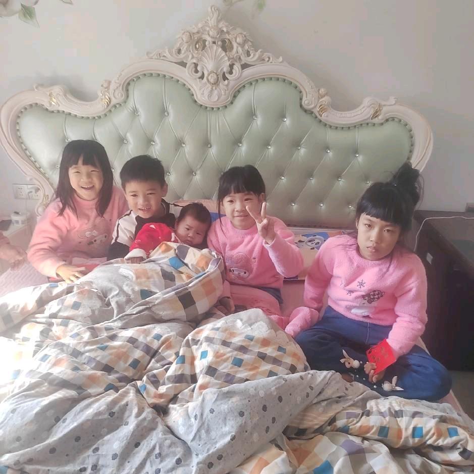 陈红日