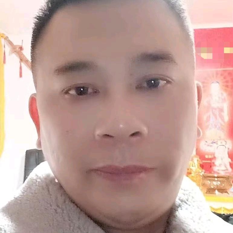 抚州卟啩桉桌红花树