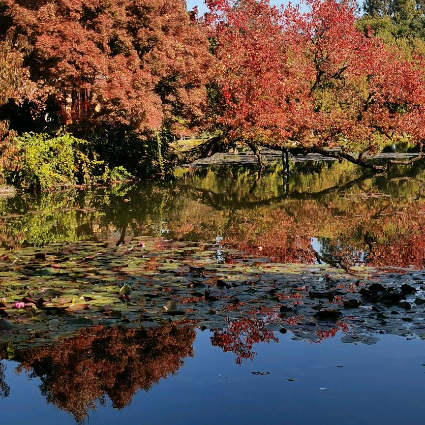 云梦县梦云泽书城名校课堂团购福利