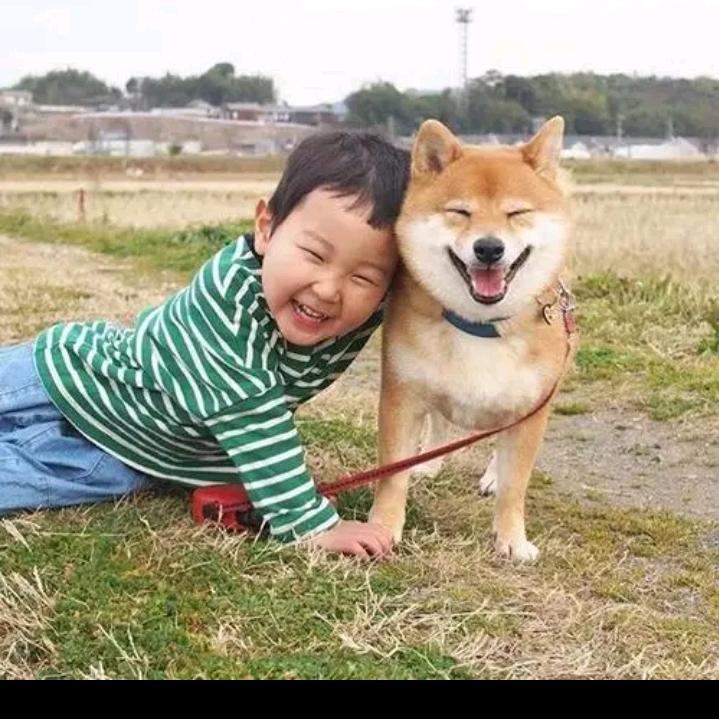 寻南