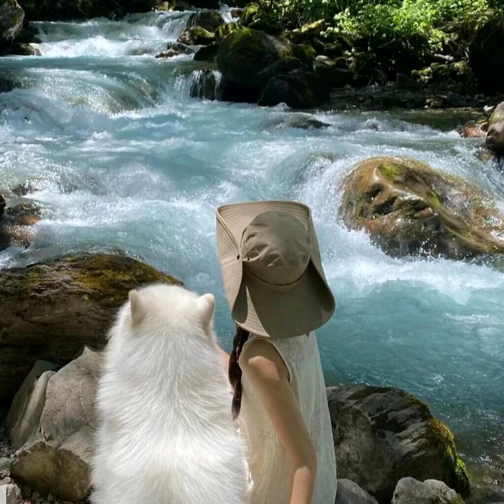茴茗🍃
