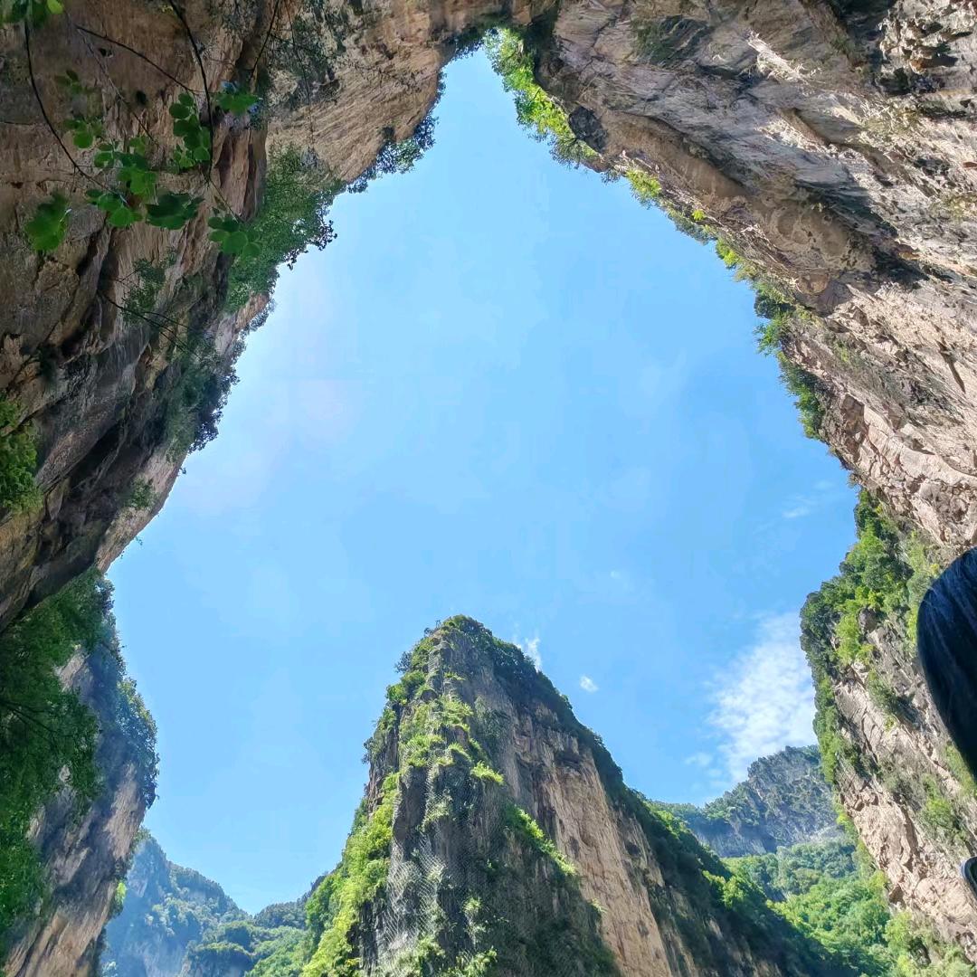 似水年华17644