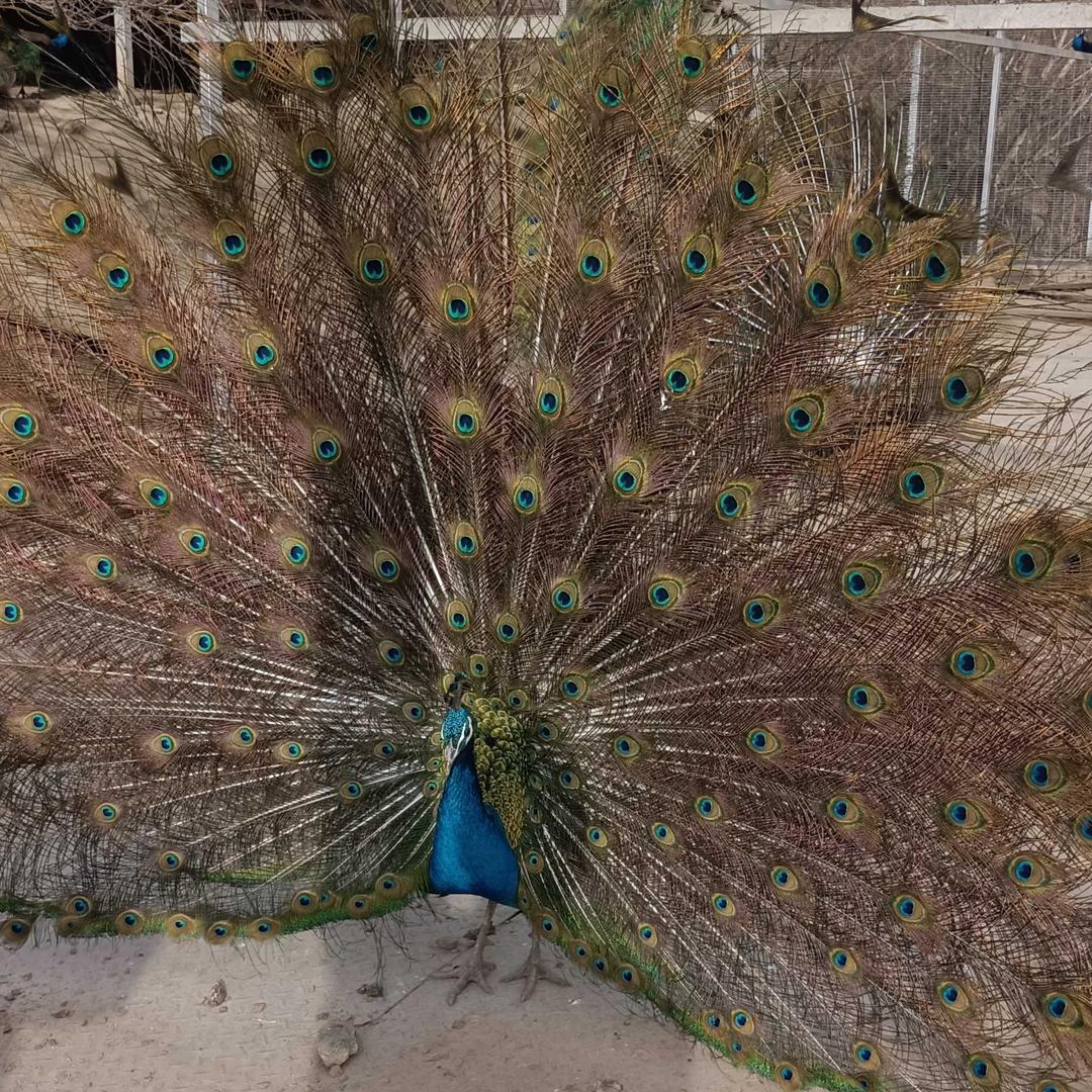 ᭄鑫♡̶淼ꦿོ࿐