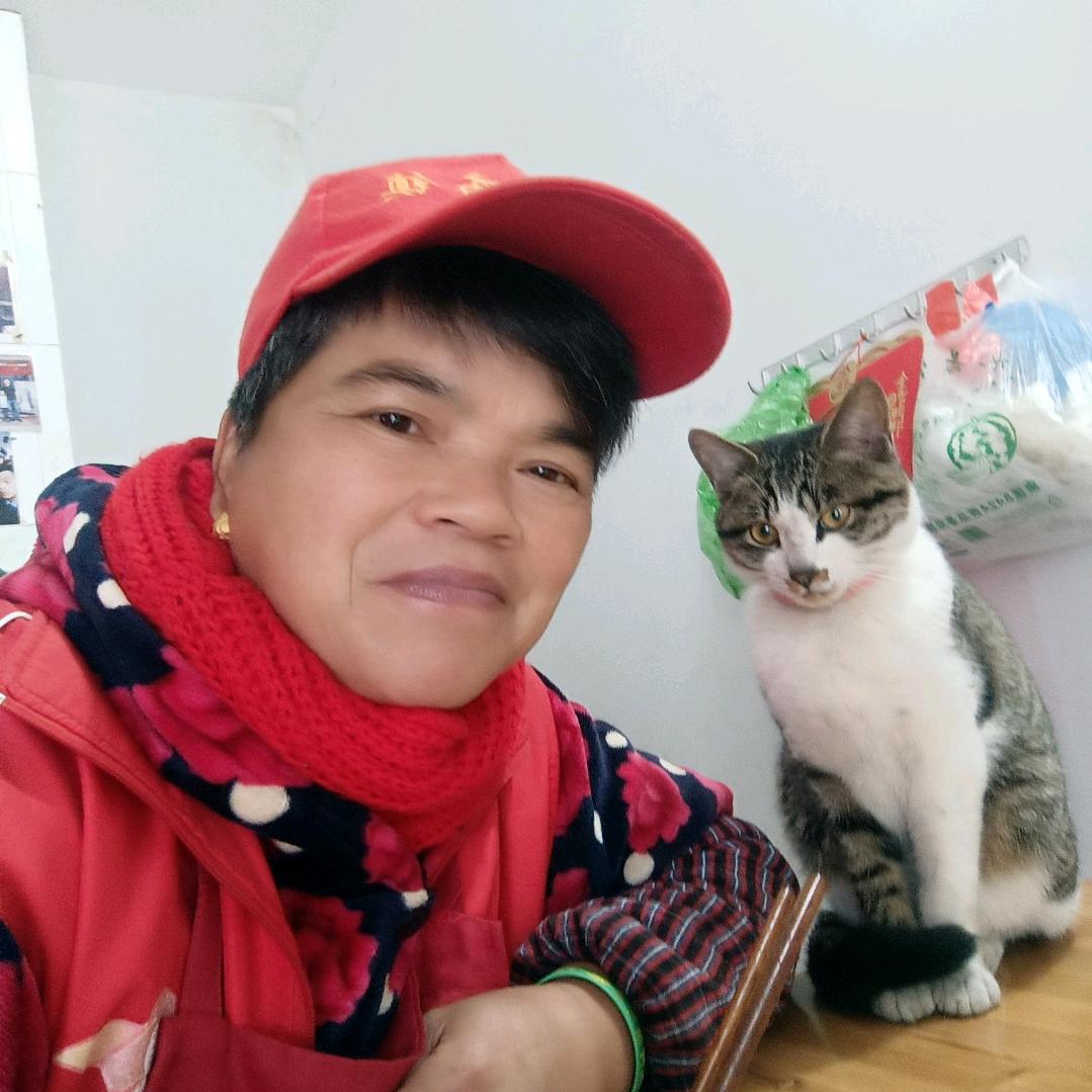 王玩琴，I77一212一542一41，
