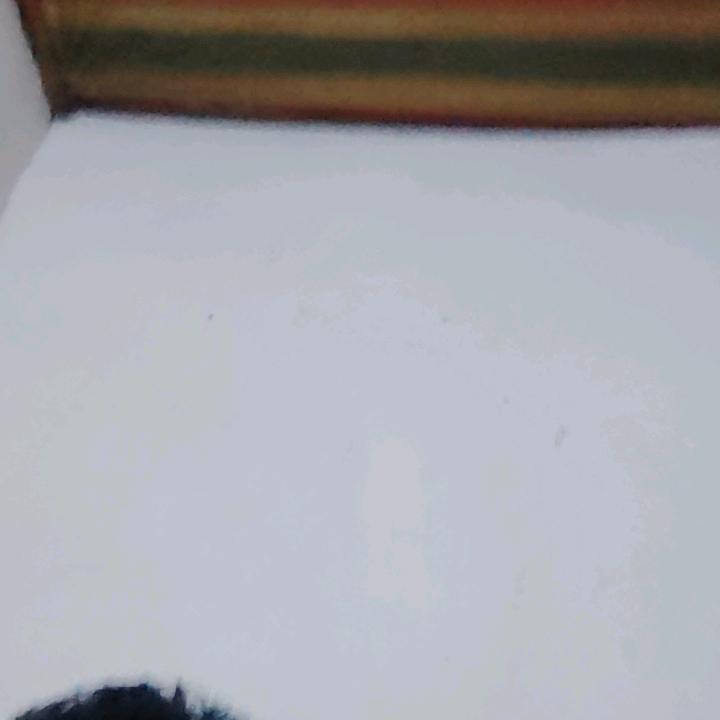 甘总