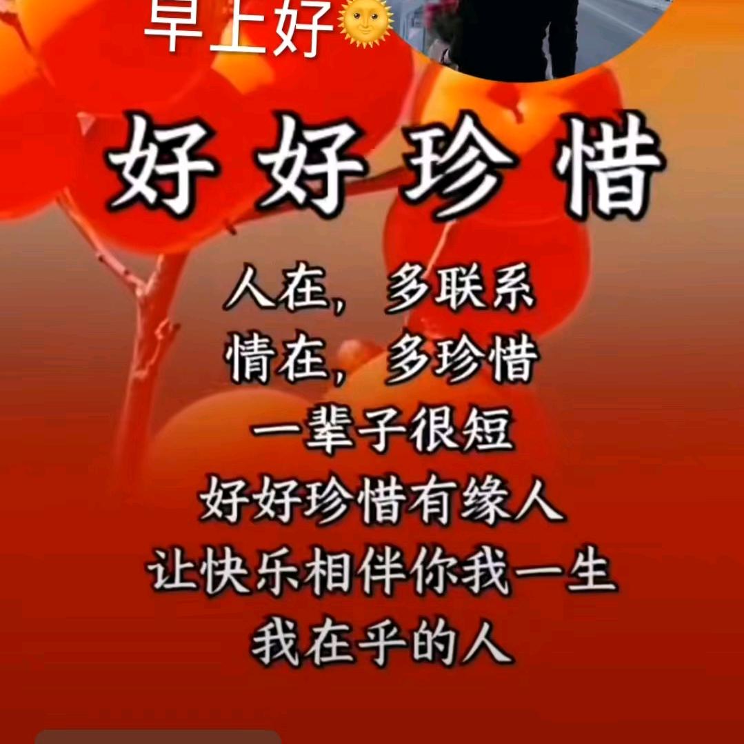 己尘回忆