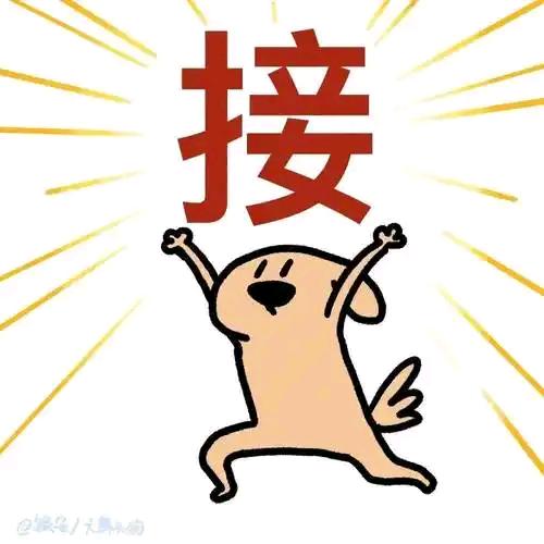 鑫鑫嘛