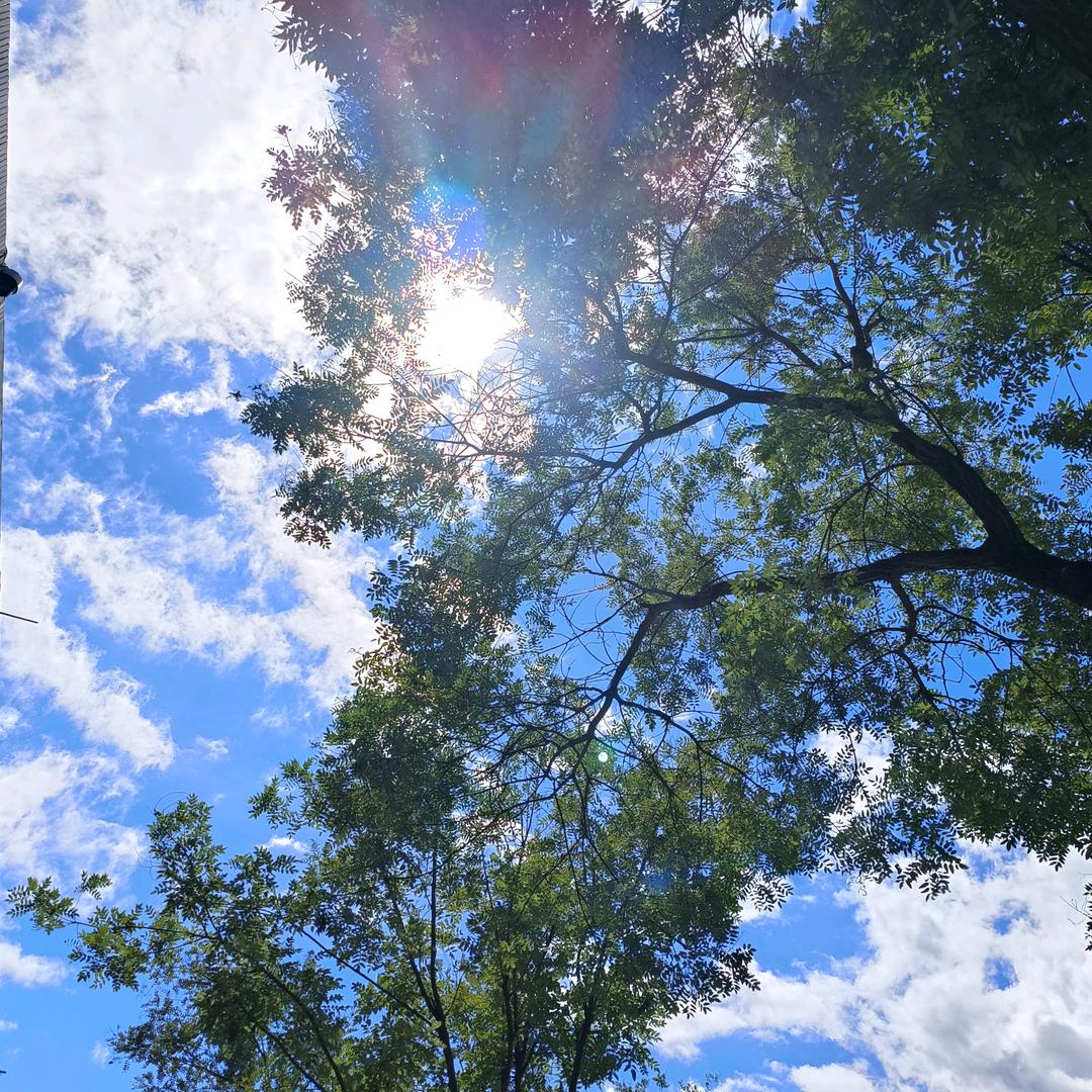我就是我