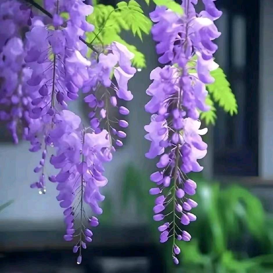 雨过天晴